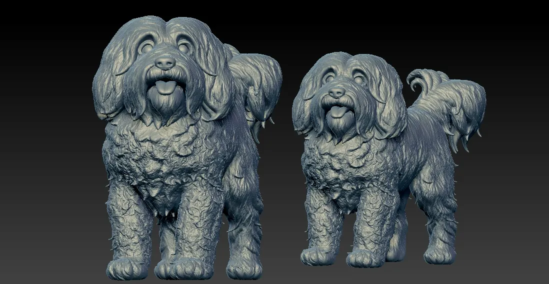 Havanese Cuban Bichon Dog model - 3D print