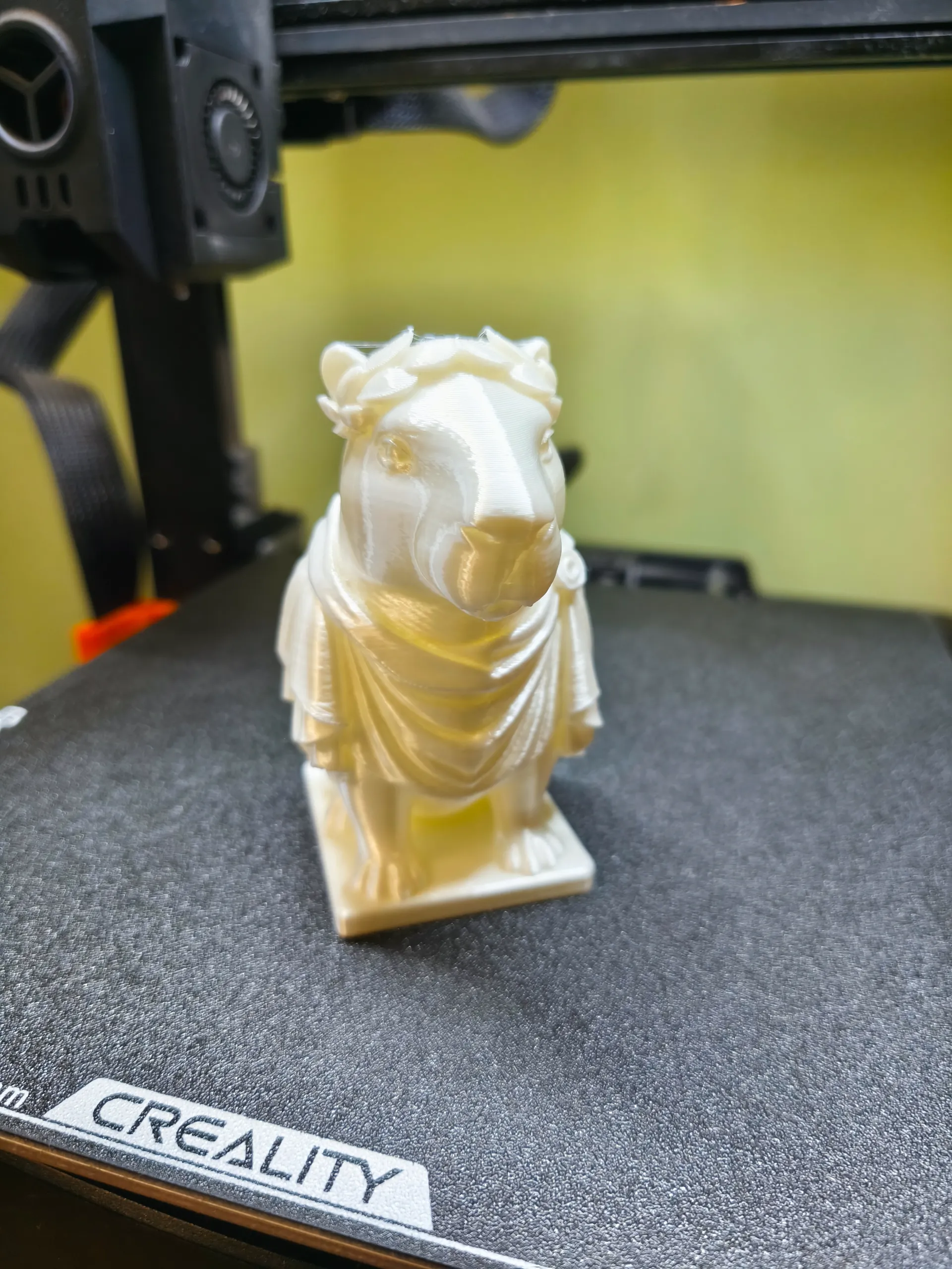 Capybara Maximus-0
