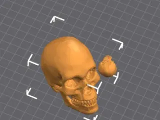 Skull Imported from Microsoft 3D Builder