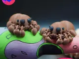 CUTE FLEXI TINY SPIDER-5
