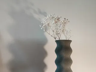 Enredadera Vase