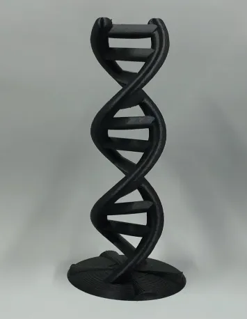 DNA Double Helix