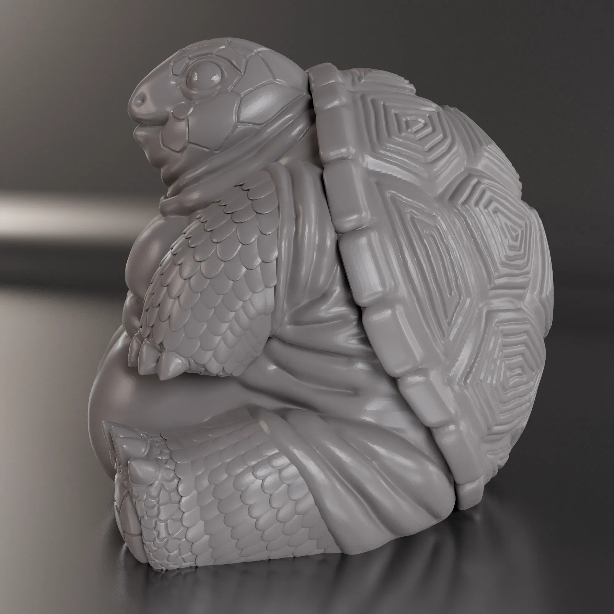 ÜBERGEWICHTIGE SCHILDKRÖTE