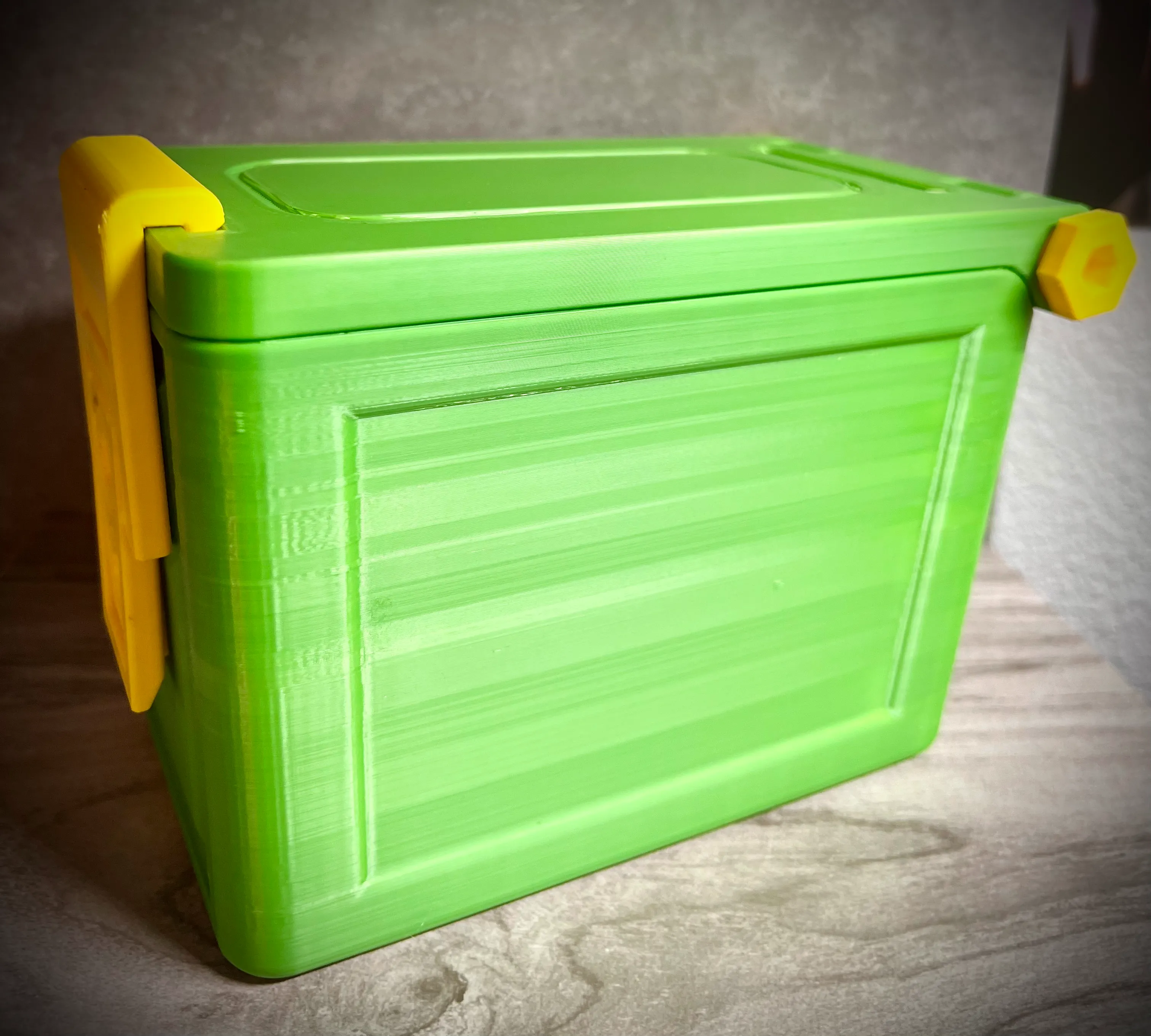 Latching Storage Container