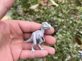 Dinosaur raptor-2