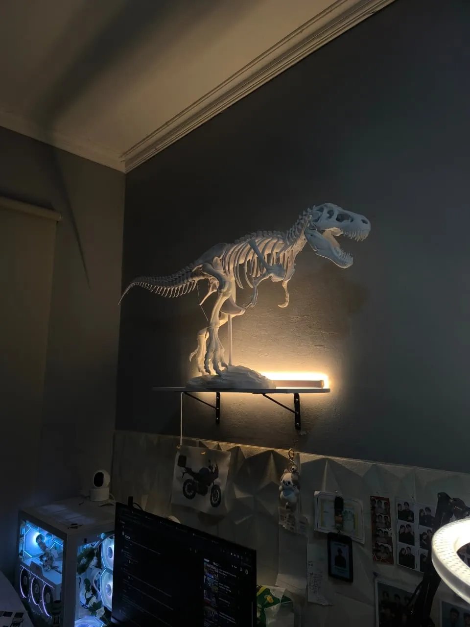 Tyrannosaurus skeleton-1
