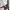 Affen-Bananen-Balance-Haken_Affen-Bananen-Balance-Haken