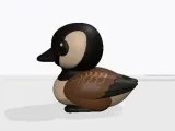 Canada Goose-2