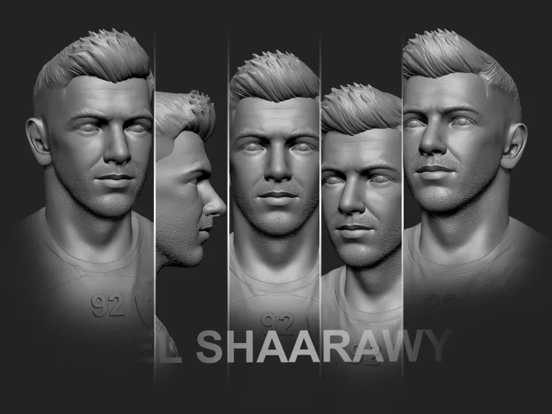 STEPHAN EL SHAARAWY