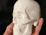 Human skull-1