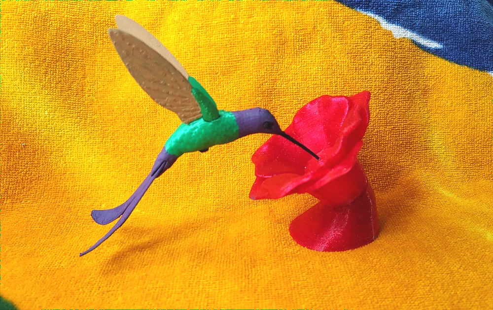 Colibrí