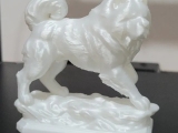 Chow chow-4