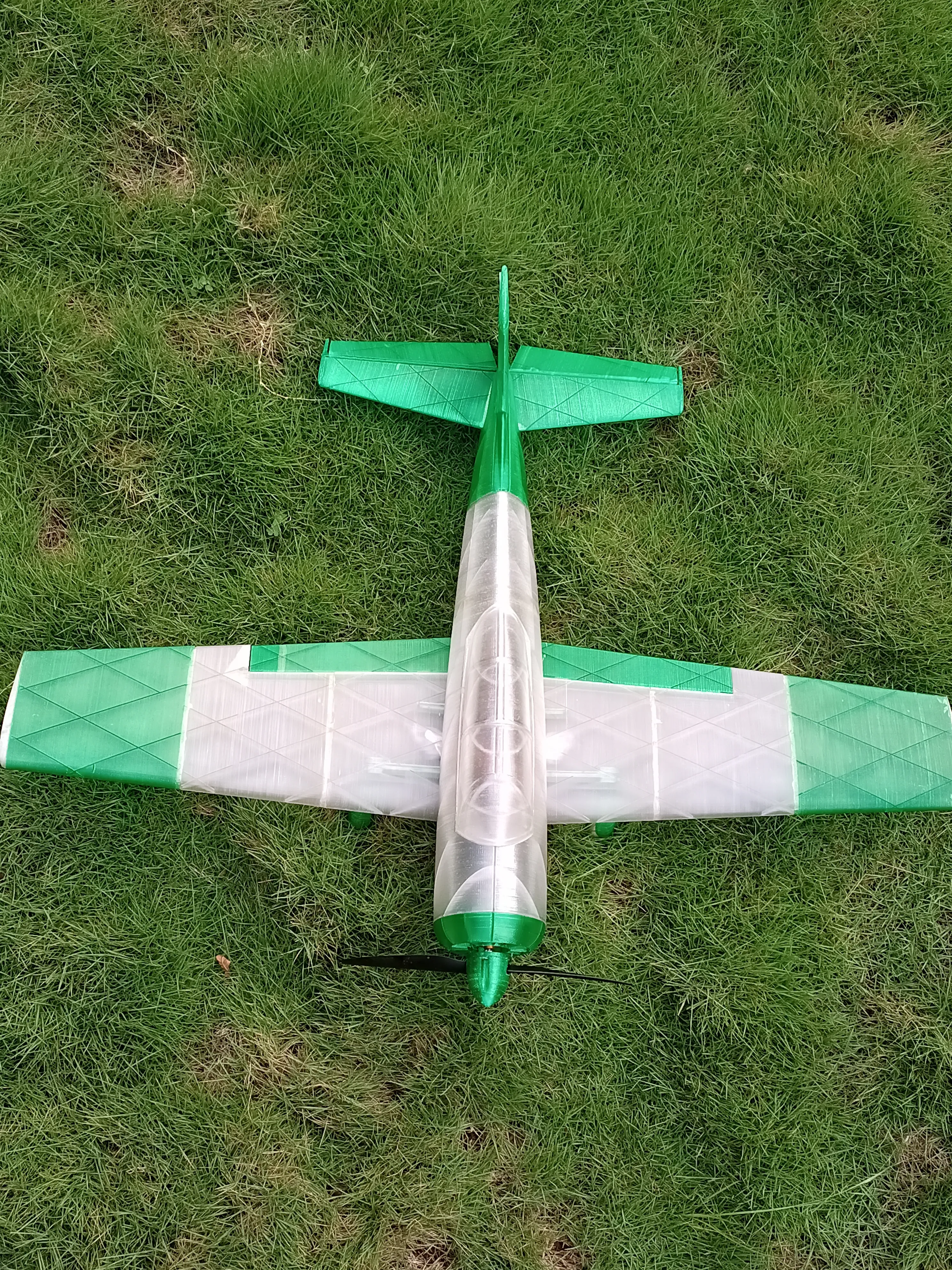 RC 3D ПЕЧАТНЫЙ САМОЛЕТ ДЛЯ ДОМАШНИХ ЖИВОТНЫХ