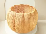 Pumpkin Lattice Bowl/Planter/Orchid Pot-0