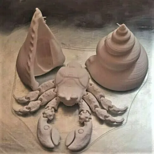 Hermit crab (cute, semi-realistic)