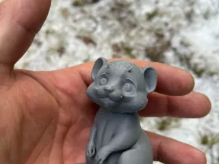 Cute Ferret