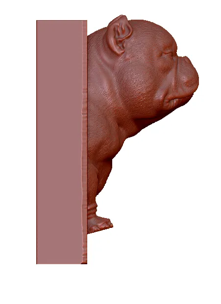 exotic bully dolar 10K