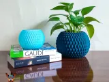 Flower Pot-5