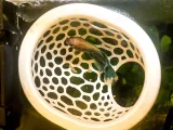 Floating fish cave-5