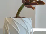Pot Interior Decor P-4