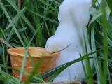 Easter rabbit with basket-0