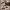 Squid Game Seong Gi-Hun Funko Pop