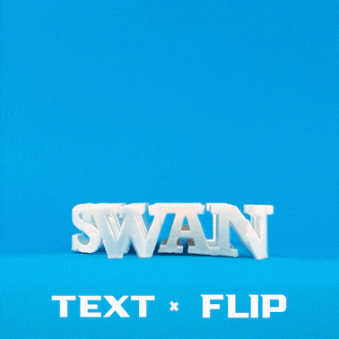 Text Flip - Swan 3d model