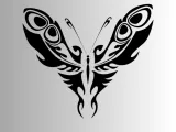 Celestial Butterfly Wall Art-0