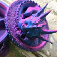 Dragon box - painted 3mf-2