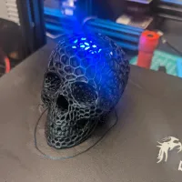 Voronoi-style Skull with no supports-3