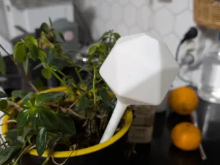 Plant watering globe