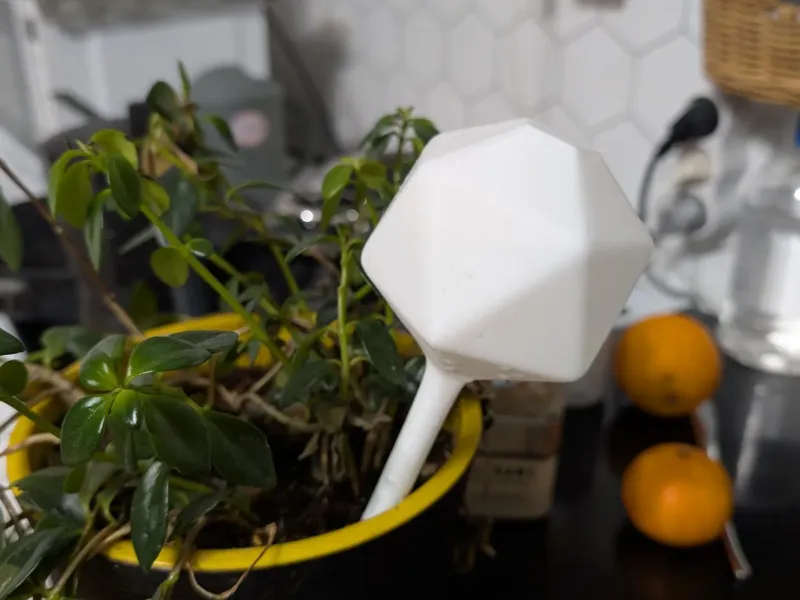 Plant watering globe