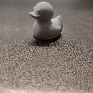 Valve Stem Duck-1