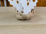 Dark ghosts-1