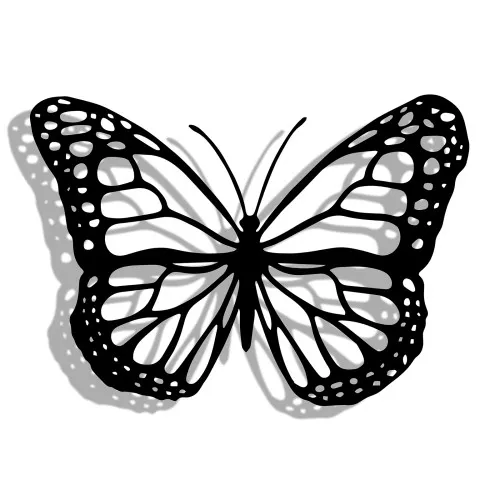 Wall decor butterfly