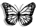 Wall decor butterfly-0