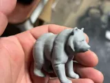 Grizzly bear-1