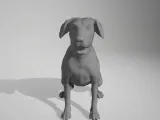 dog 03-0