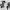 Rarity and Rainbow Dash Skeleton Silhouettes