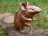 Wood Mouse-0