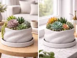 Maceta para cactus y zuculentas-2