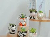 WhimsyAnimal Pots 🏡✨-1