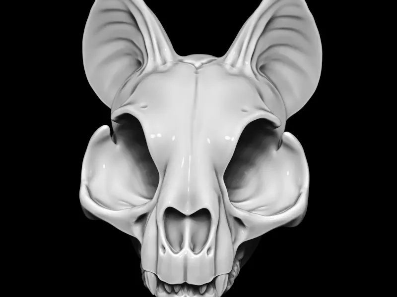 SKULL CAT - skeleton