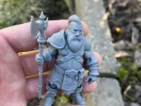 Dwarf warriors-4