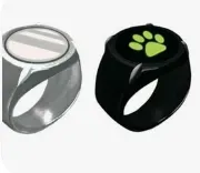 cat noir base form ring and powered