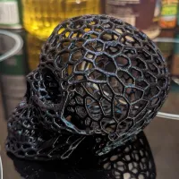 Voronoi-style Skull with no supports-2