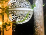 Floating fish cave-1
