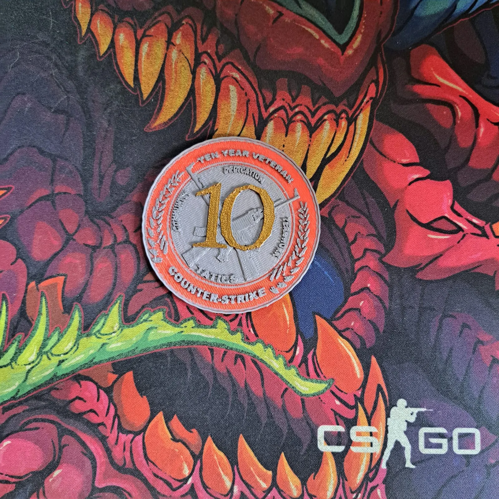 Ten Year Service Medal - CSGO