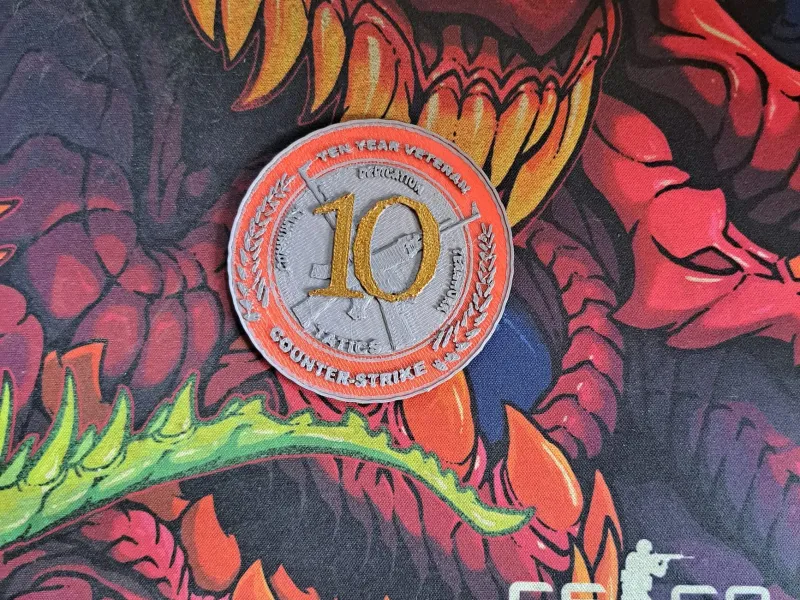 Ten Year Service Medal - CSGO