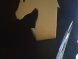 caballo figura-0